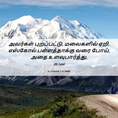 Picture 06 - உபாகமம் 1:24 TAMIRV - அவர்கள் - Bible Verse Picture