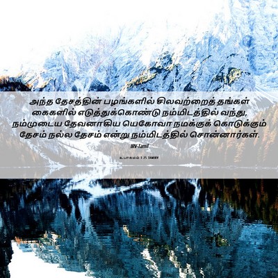 Picture 06 - உபாகமம் 1:25 TAMIRV - அந்த தேசத்தின் - Bible Verse Picture