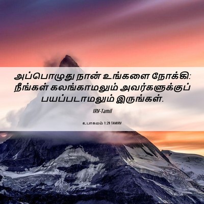 Picture 06 - உபாகமம் 1:29 TAMIRV - அப்பொழுது நான் - Bible Verse Picture