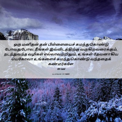 Picture 06 - உபாகமம் 1:31 TAMIRV - ஒரு மனிதன் தன் - Bible Verse Picture