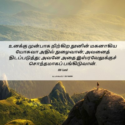 Picture 06 - உபாகமம் 1:38 TAMIRV - உனக்கு முன்பாக - Bible Verse Picture