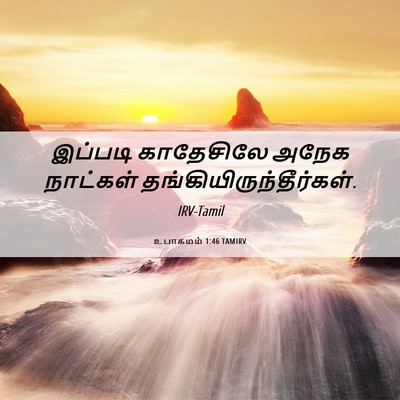 Picture 06 - உபாகமம் 1:46 TAMIRV - இப்படி காதேசிலே - Bible Verse Picture