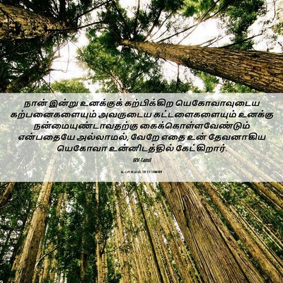 Picture 06 - உபாகமம் 10:13 TAMIRV - நான் இன்று - Bible Verse Picture