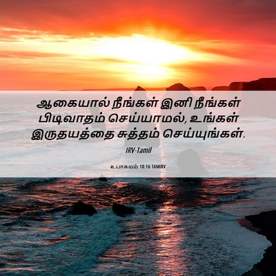 Picture 06 - உபாகமம் 10:16 TAMIRV - ஆகையால் நீங்கள் - Bible Verse Picture