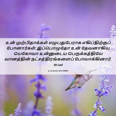 Picture 06 - உபாகமம் 10:22 TAMIRV - உன் முற்பிதாக்கள் - Bible Verse Picture
