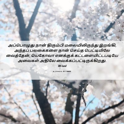 Picture 06 - உபாகமம் 10:5 TAMIRV - அப்பொழுது நான் - Bible Verse Picture