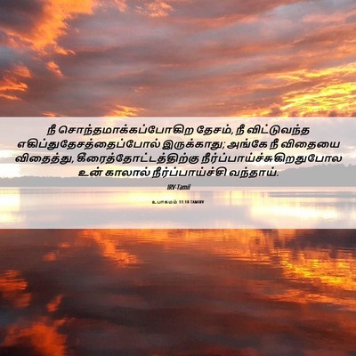 Picture 06 - உபாகமம் 11:10 TAMIRV - நீ - Bible Verse Picture