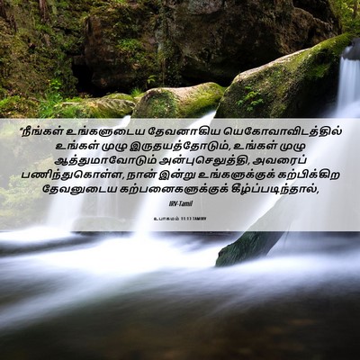 Picture 06 - உபாகமம் 11:13 TAMIRV - “நீங்கள் - Bible Verse Picture