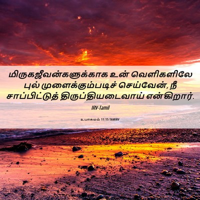 Picture 06 - உபாகமம் 11:15 TAMIRV -  - Bible Verse Picture