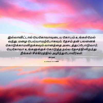 Picture 06 - உபாகமம் 11:17 TAMIRV - இல்லாவிட்டால் - Bible Verse Picture