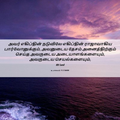 Picture 06 - உபாகமம் 11:3 TAMIRV - அவர் எகிப்தின் - Bible Verse Picture