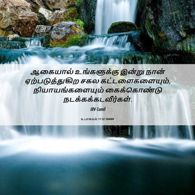 Picture 06 - உபாகமம் 11:32 TAMIRV - ஆகையால் - Bible Verse Picture