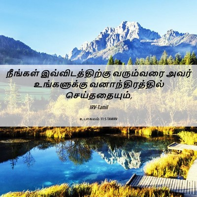 Picture 06 - உபாகமம் 11:5 TAMIRV - நீங்கள் - Bible Verse Picture
