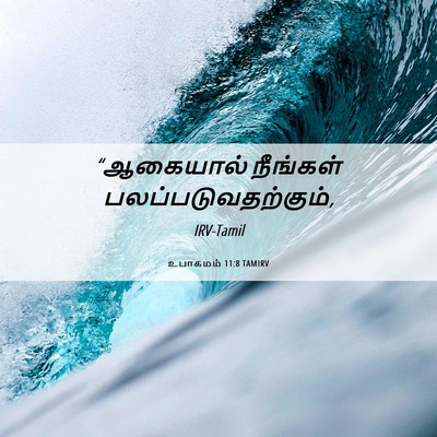 Picture 06 - உபாகமம் 11:8 TAMIRV - “ஆகையால் நீங்கள் - Bible Verse Picture