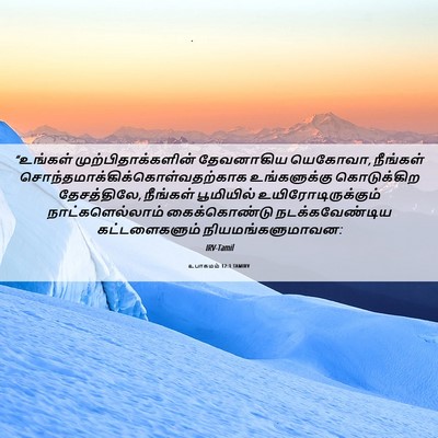 Picture 06 - உபாகமம் 12:1 TAMIRV - “உங்கள் - Bible Verse Picture