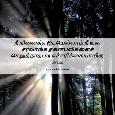 Picture 06 - உபாகமம் 12:13 TAMIRV - நீ நினைத்த - Bible Verse Picture