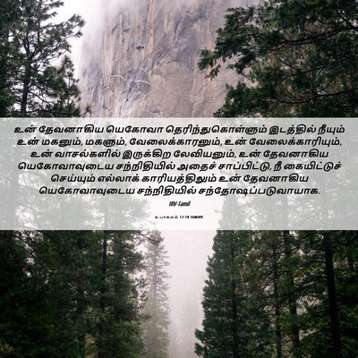 Picture 06 - உபாகமம் 12:18 TAMIRV - உன் தேவனாகிய - Bible Verse Picture