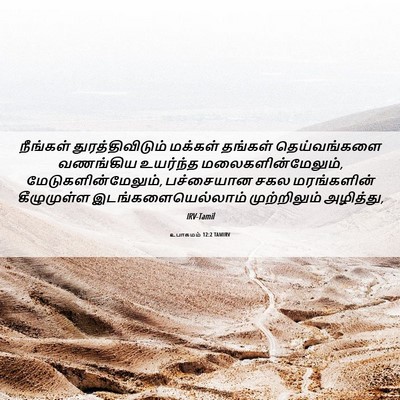 Picture 06 - உபாகமம் 12:2 TAMIRV - நீங்கள் - Bible Verse Picture
