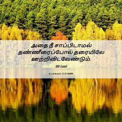 Picture 06 - உபாகமம் 12:24 TAMIRV - அதை நீ - Bible Verse Picture