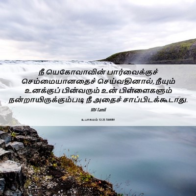 Picture 06 - உபாகமம் 12:25 TAMIRV - நீ யெகோவாவின் - Bible Verse Picture