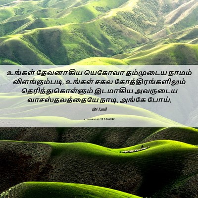 Picture 06 - உபாகமம் 12:5 TAMIRV - உங்கள் தேவனாகிய - Bible Verse Picture