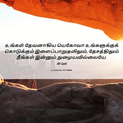 Picture 06 - உபாகமம் 12:9 TAMIRV - உங்கள் தேவனாகிய - Bible Verse Picture