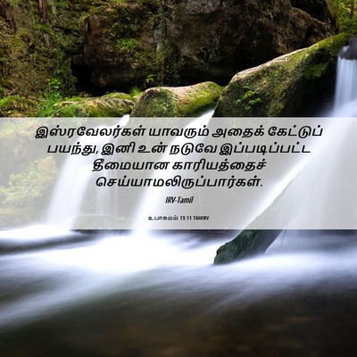 Picture 06 - உபாகமம் 13:11 TAMIRV - இஸ்ரவேலர்கள் - Bible Verse Picture