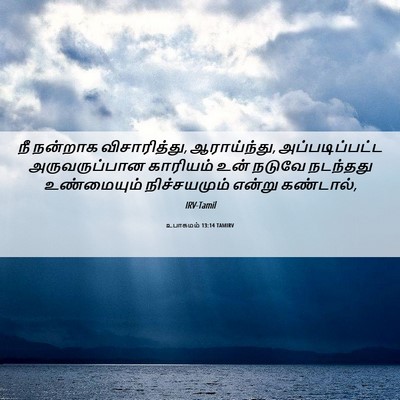 Picture 06 - உபாகமம் 13:14 TAMIRV - நீ நன்றாக - Bible Verse Picture