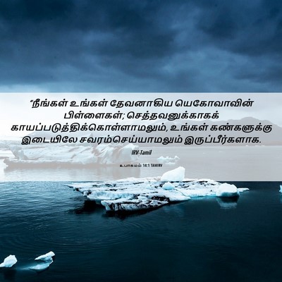 Picture 06 - உபாகமம் 14:1 TAMIRV - “நீங்கள் உங்கள் - Bible Verse Picture