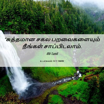 Picture 06 - உபாகமம் 14:11 TAMIRV - “சுத்தமான சகல - Bible Verse Picture
