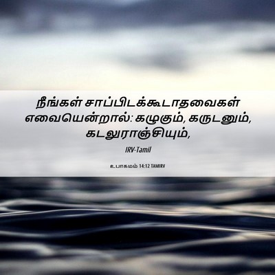 Picture 06 - உபாகமம் 14:12 TAMIRV - நீங்கள் - Bible Verse Picture