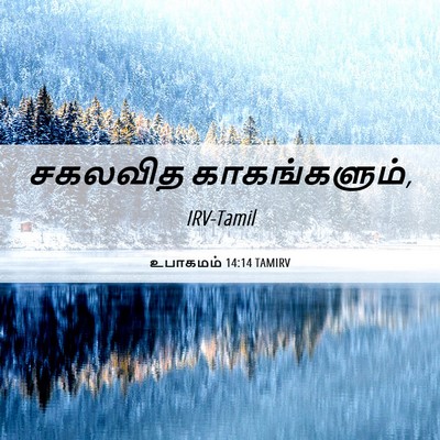 Picture 06 - உபாகமம் 14:14 TAMIRV - சகலவித - Bible Verse Picture