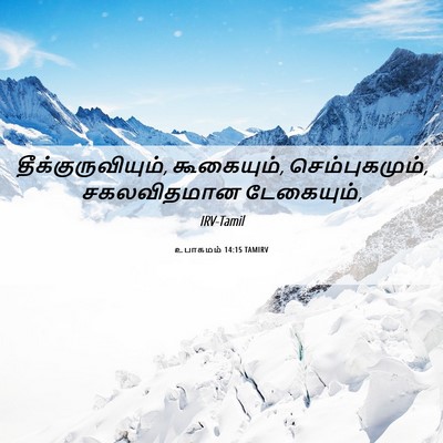Picture 06 - உபாகமம் 14:15 TAMIRV - தீக்குருவியும், - Bible Verse Picture