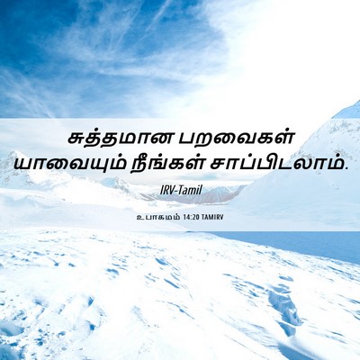 Picture 06 - உபாகமம் 14:20 TAMIRV - சுத்தமான பறவைகள் - Bible Verse Picture