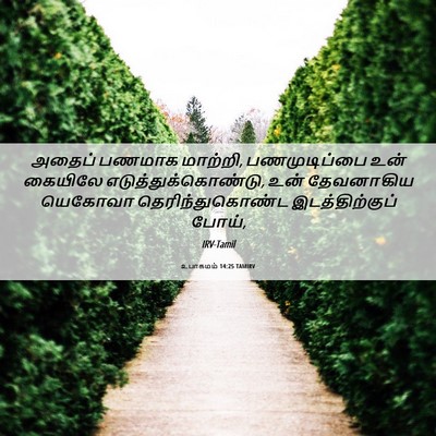 Picture 06 - உபாகமம் 14:25 TAMIRV - அதைப் பணமாக - Bible Verse Picture