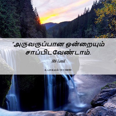 Picture 06 - உபாகமம் 14:3 TAMIRV - “அருவருப்பான - Bible Verse Picture