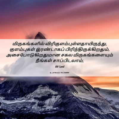 Picture 06 - உபாகமம் 14:6 TAMIRV - மிருகங்களில் - Bible Verse Picture