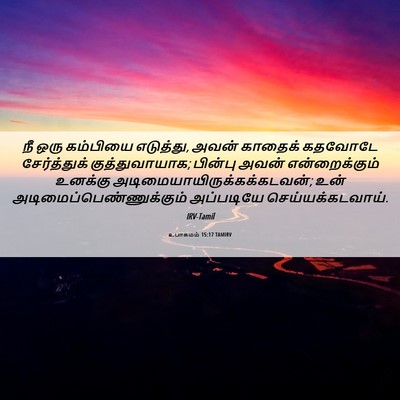 Picture 06 - உபாகமம் 15:17 TAMIRV - நீ ஒரு கம்பியை - Bible Verse Picture