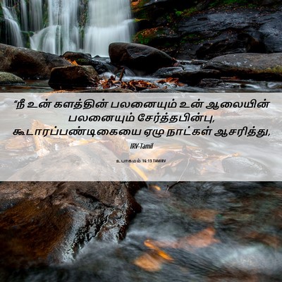 Picture 06 - உபாகமம் 16:13 TAMIRV - “நீ உன் களத்தின் - Bible Verse Picture