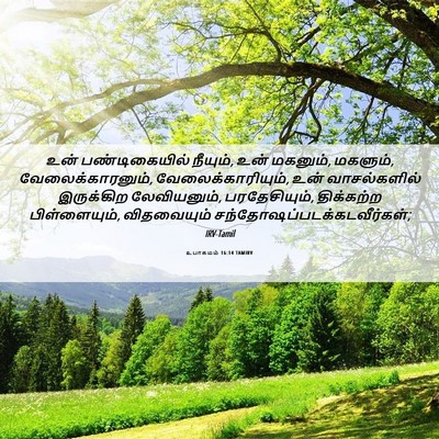 Picture 06 - உபாகமம் 16:14 TAMIRV - உன் பண்டிகையில் - Bible Verse Picture