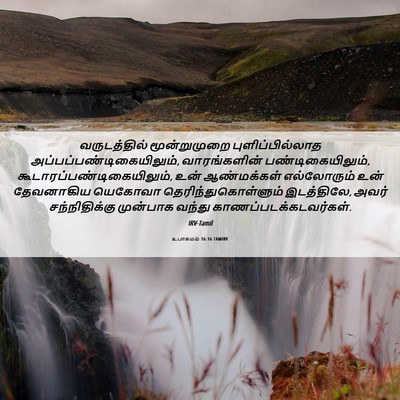 Picture 06 - உபாகமம் 16:16 TAMIRV - வருடத்தில் - Bible Verse Picture