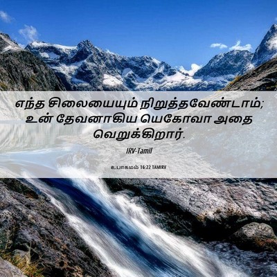 Picture 06 - உபாகமம் 16:22 TAMIRV - எந்த சிலையையும் - Bible Verse Picture