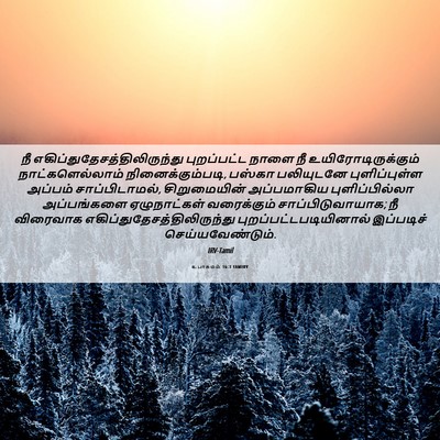 Picture 06 - உபாகமம் 16:3 TAMIRV - நீ - Bible Verse Picture