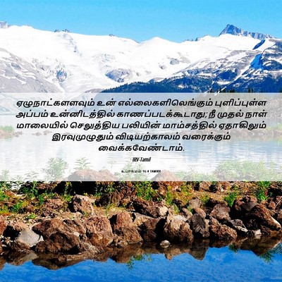 Picture 06 - உபாகமம் 16:4 TAMIRV - ஏழுநாட்களளவும் - Bible Verse Picture