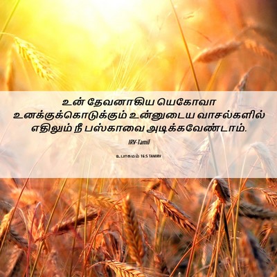 Picture 06 - உபாகமம் 16:5 TAMIRV - உன் தேவனாகிய - Bible Verse Picture