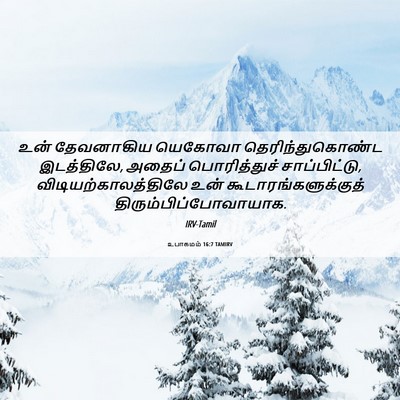 Picture 06 - உபாகமம் 16:7 TAMIRV - உன் தேவனாகிய - Bible Verse Picture