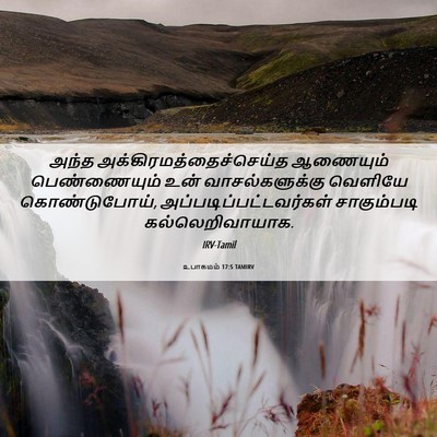 Picture 06 - உபாகமம் 17:5 TAMIRV - அந்த - Bible Verse Picture