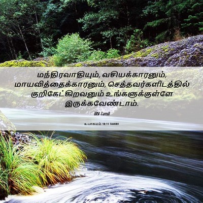 Picture 06 - உபாகமம் 18:11 TAMIRV - மந்திரவாதியும், - Bible Verse Picture