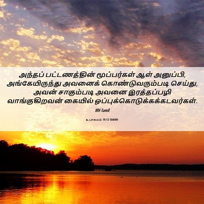 Picture 06 - உபாகமம் 19:12 TAMIRV - அந்தப் - Bible Verse Picture