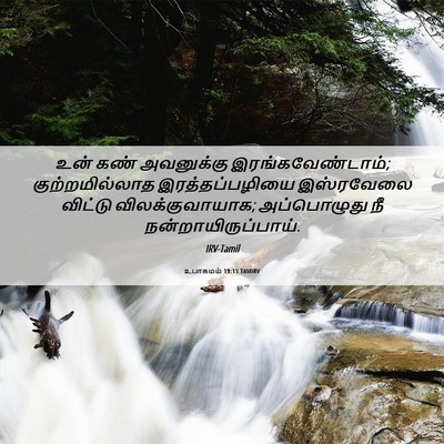 Picture 06 - உபாகமம் 19:13 TAMIRV - உன் கண் அவனுக்கு - Bible Verse Picture